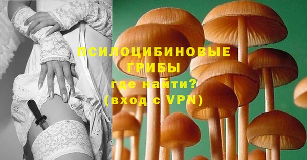 наркотики Белокуриха