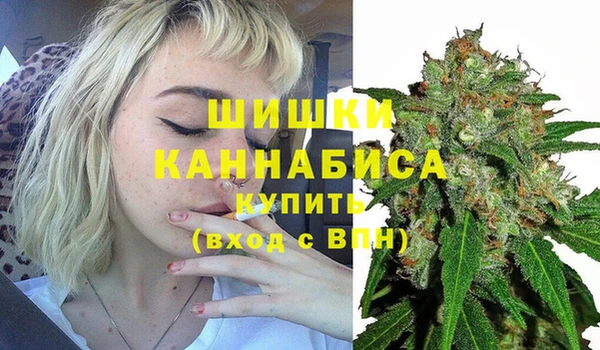 spice Беломорск