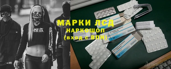 spice Беломорск