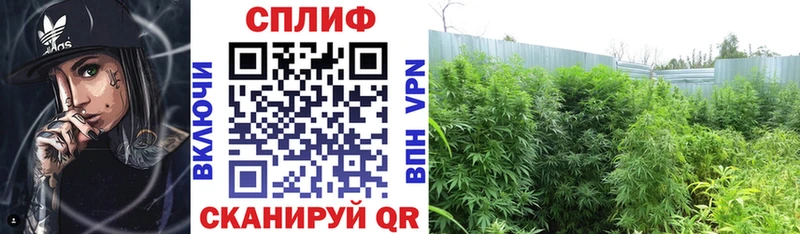 Марихуана White Widow  Кропоткин 